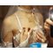 Кулон Sexwife Pleasure